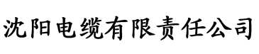 国产真实沙发午睡电缆厂logo